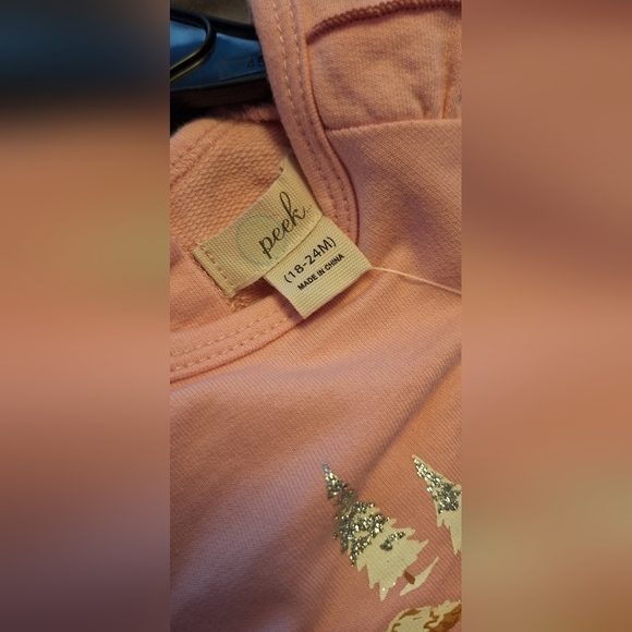 NWT Infant Girl Two Piece Set by peek Pink Special Event Dressy Sz 18-24 mos - Picture 4 of 8